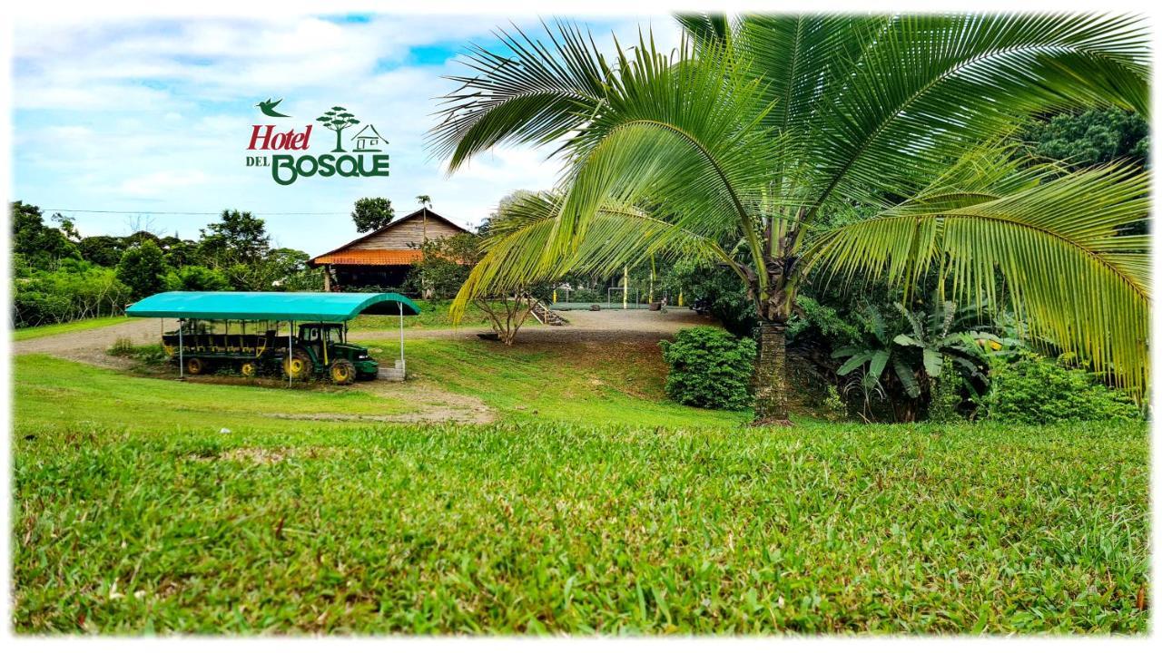 Hotel Del Bosque Río Cuarto 外观 照片