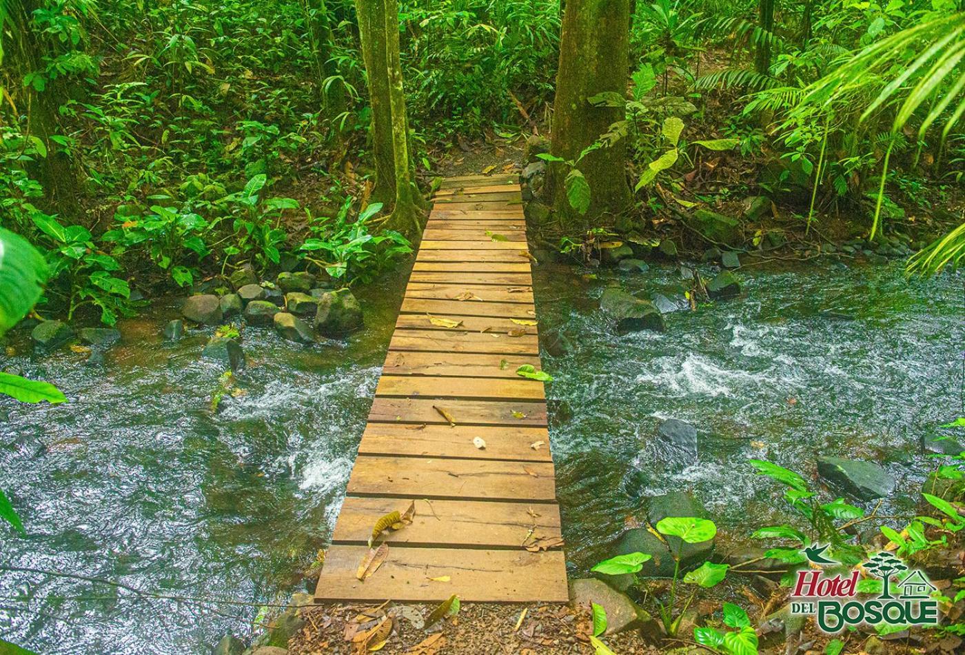 Hotel Del Bosque Río Cuarto 外观 照片
