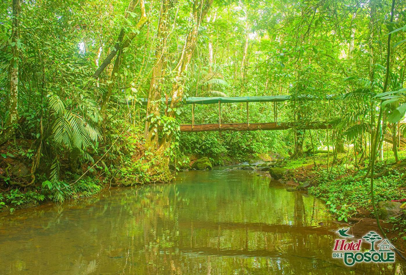 Hotel Del Bosque Río Cuarto 外观 照片