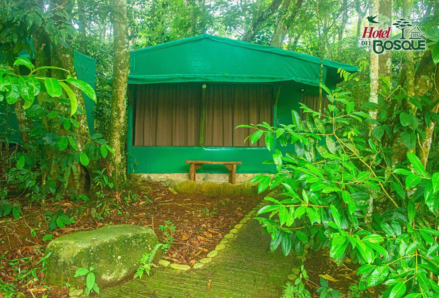 Hotel Del Bosque Río Cuarto 外观 照片