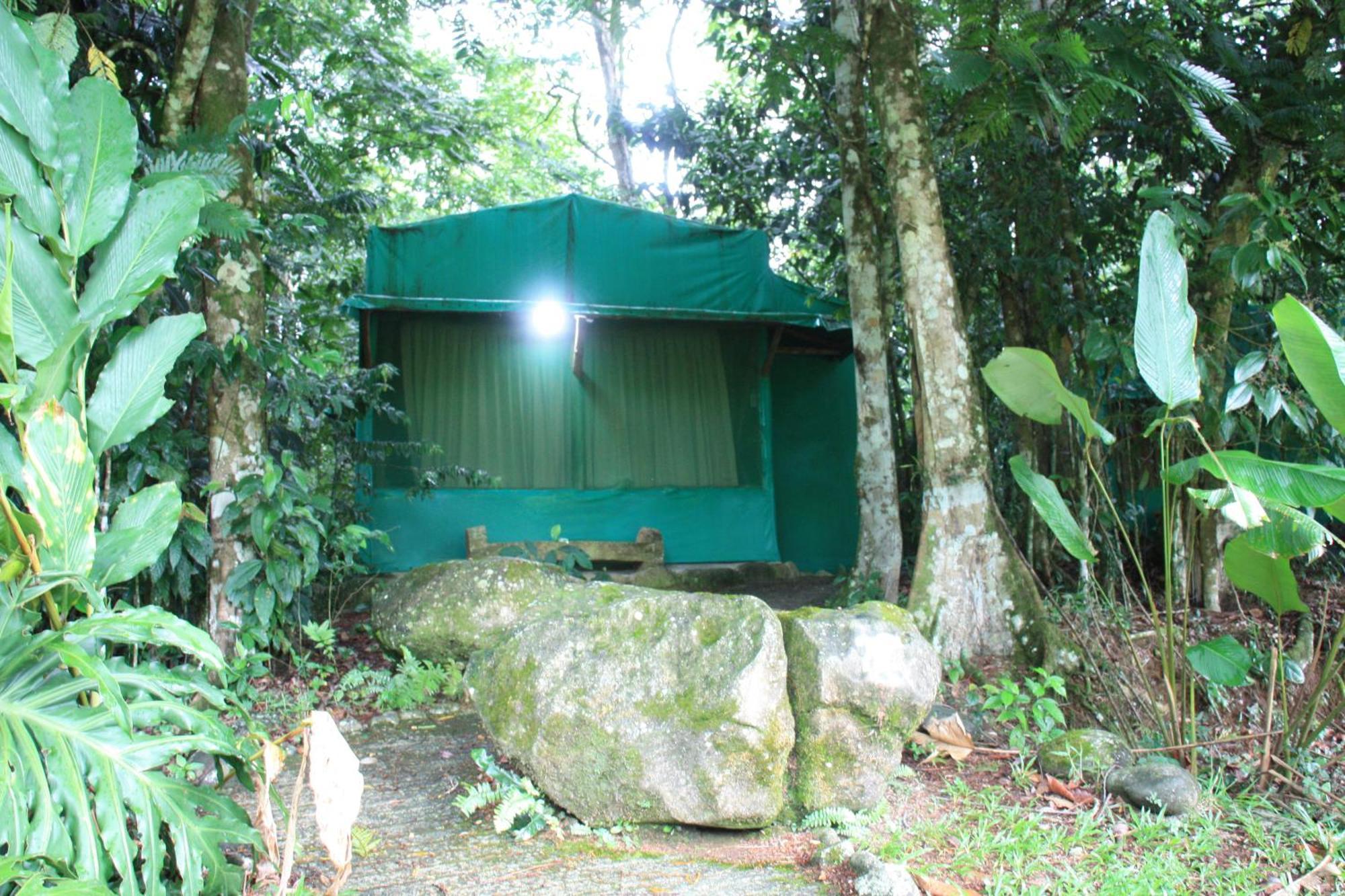 Hotel Del Bosque Río Cuarto 外观 照片