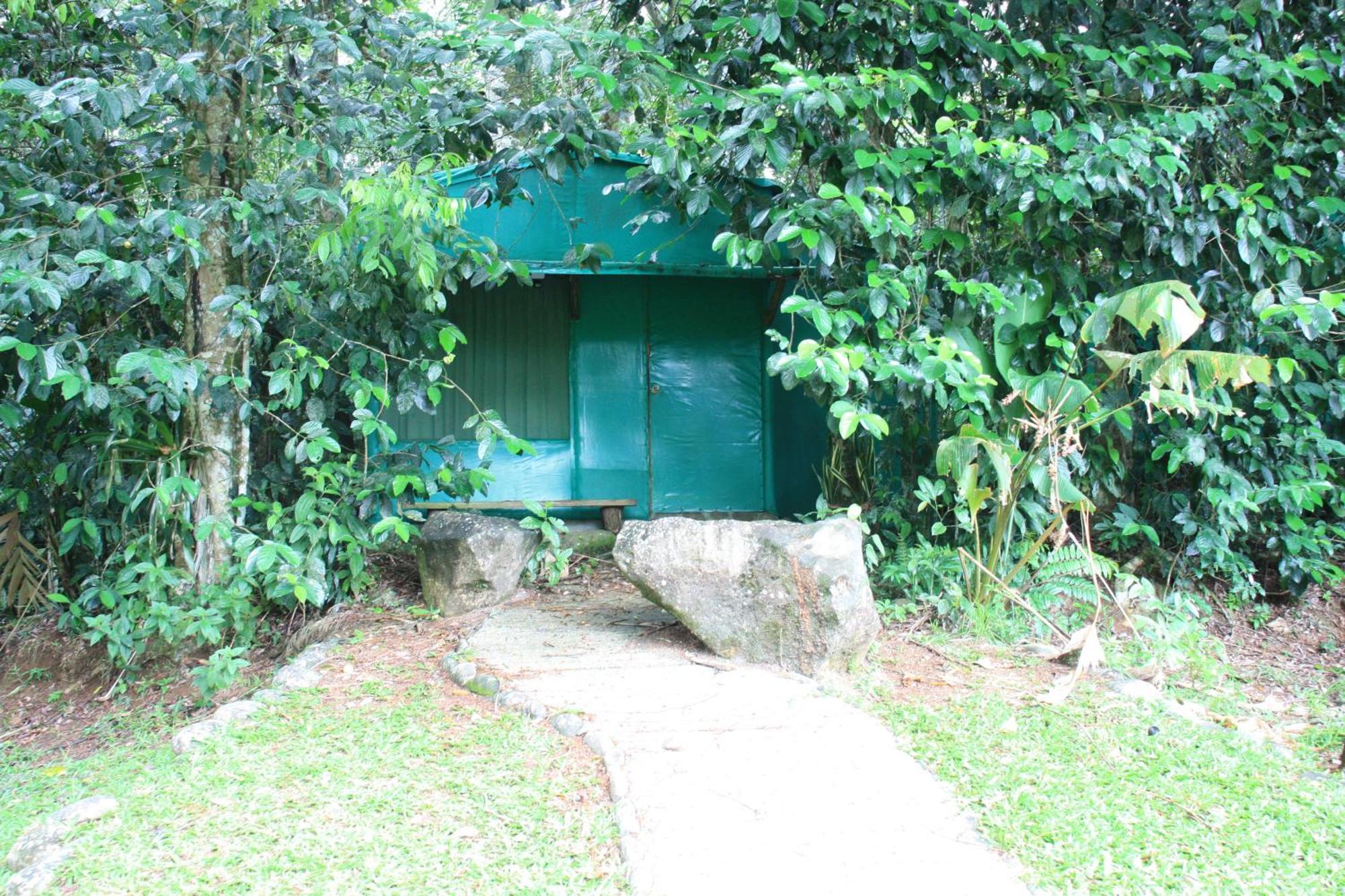Hotel Del Bosque Río Cuarto 外观 照片