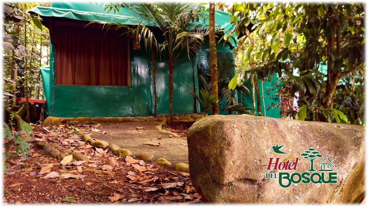 Hotel Del Bosque Río Cuarto 外观 照片